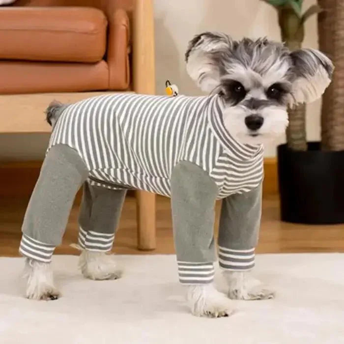 Anti - Licking • Dog Recovery Suit - Dog Recovery Suit