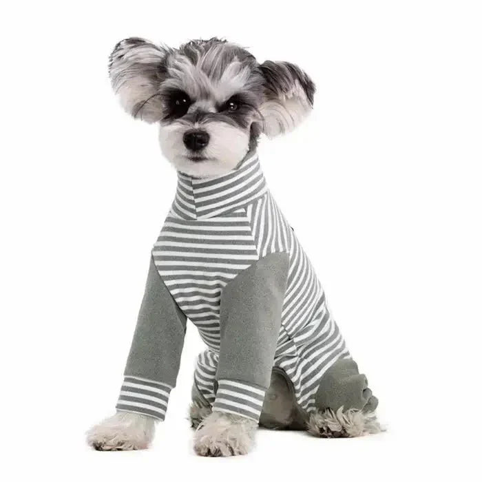 Anti - Licking • Dog Recovery Suit - Dog Recovery Suit