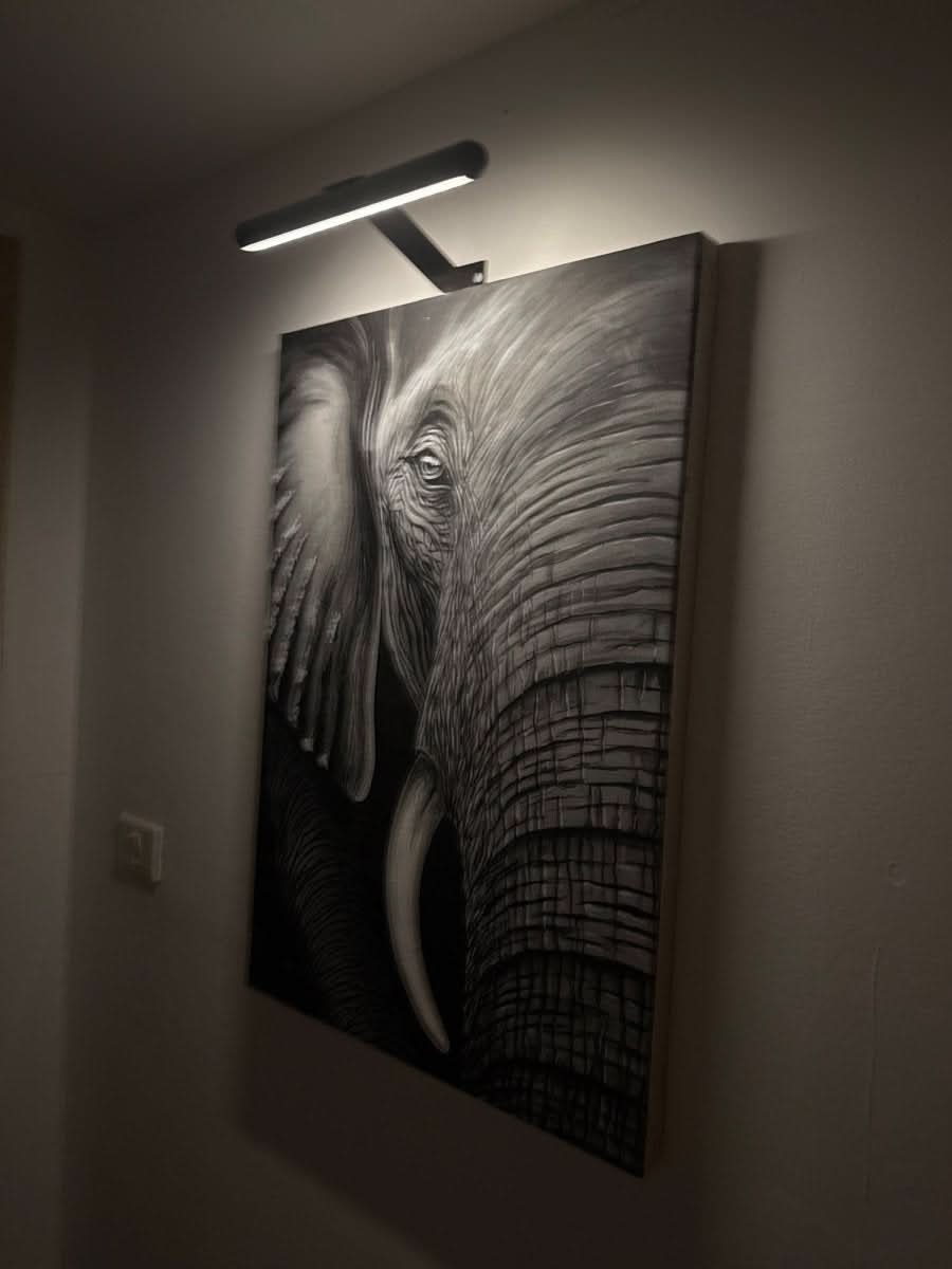 LumaNova Cordless LED Wall Light For Art And Gallery Displays