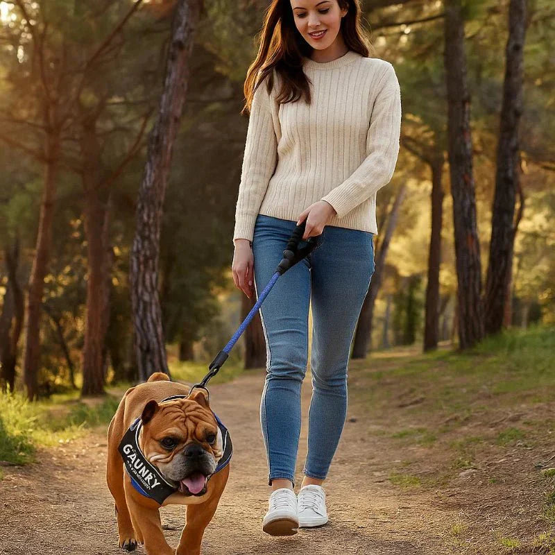 حزام كلاب PawGuard قابل للتخصيص للمشي اليومي مع الراحة والأمان