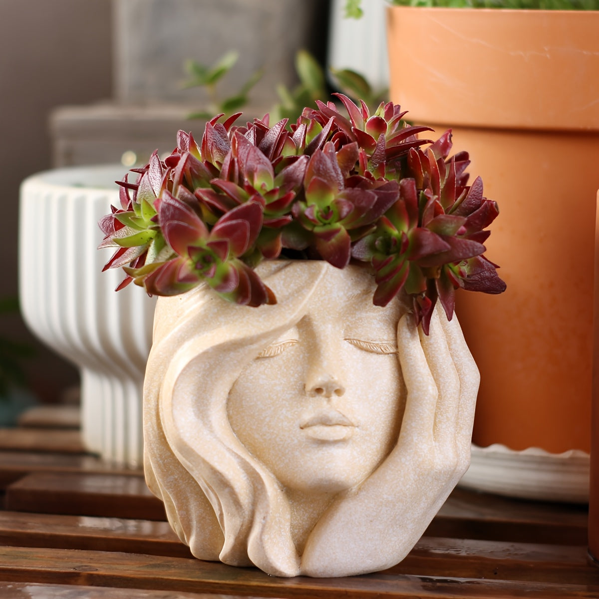 Ghiveci artistic Facerpot pentru expunerea stilată a plantelor de interior și exterior