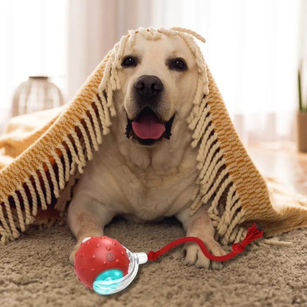 SwiftOrbit Self-Propelled Ball Toy For Dogs Engaging Play And Anxiety Relief