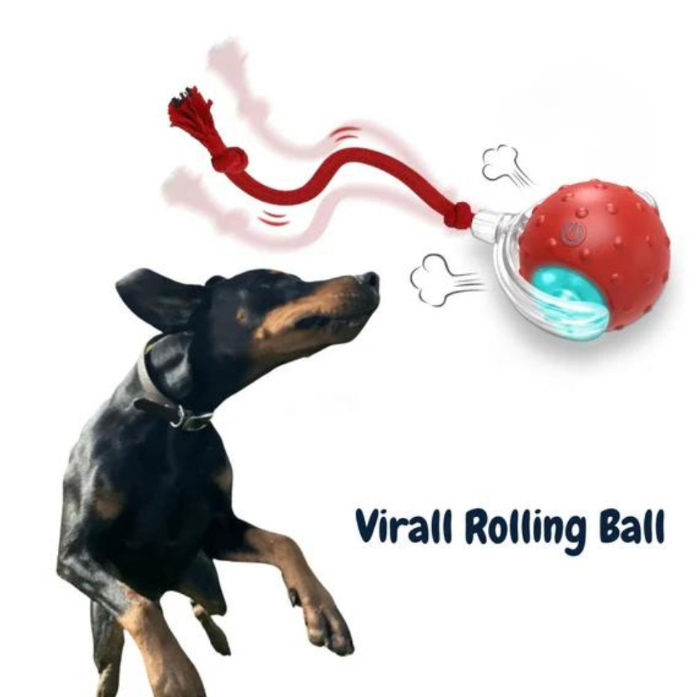SwiftOrbit Self-Propelled Ball Toy For Dogs Engaging Play And Anxiety Relief