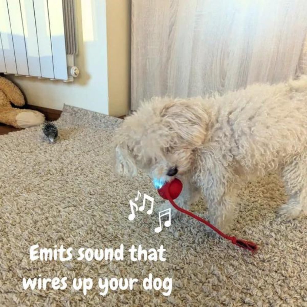 SwiftOrbit Self-Propelled Ball Toy For Dogs Engaging Play And Anxiety Relief