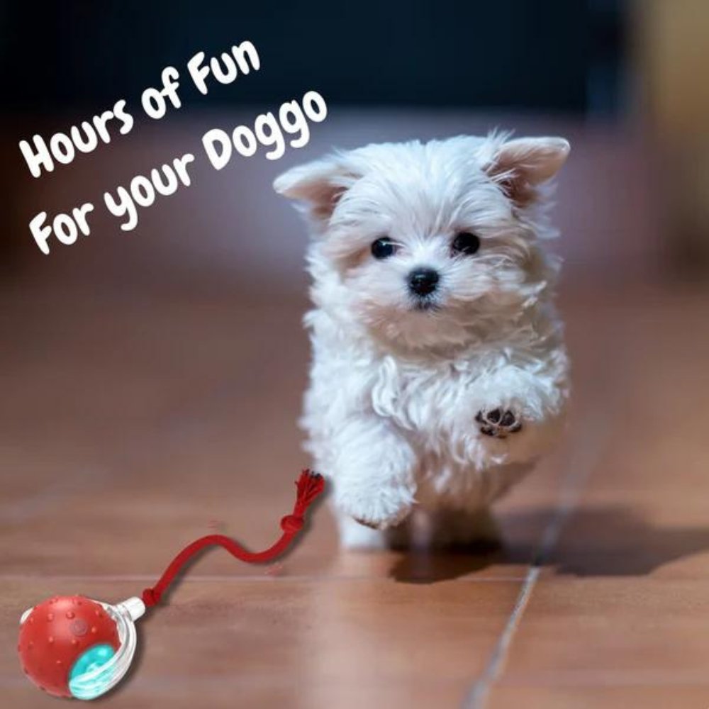 SwiftOrbit Self-Propelled Ball Toy For Dogs Engaging Play And Anxiety Relief