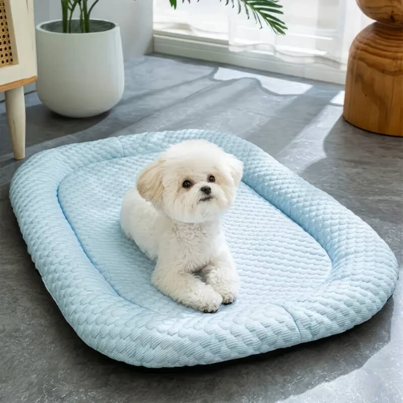 ChillPaws • Cooling Dog Bed - Cooling Dog Bed