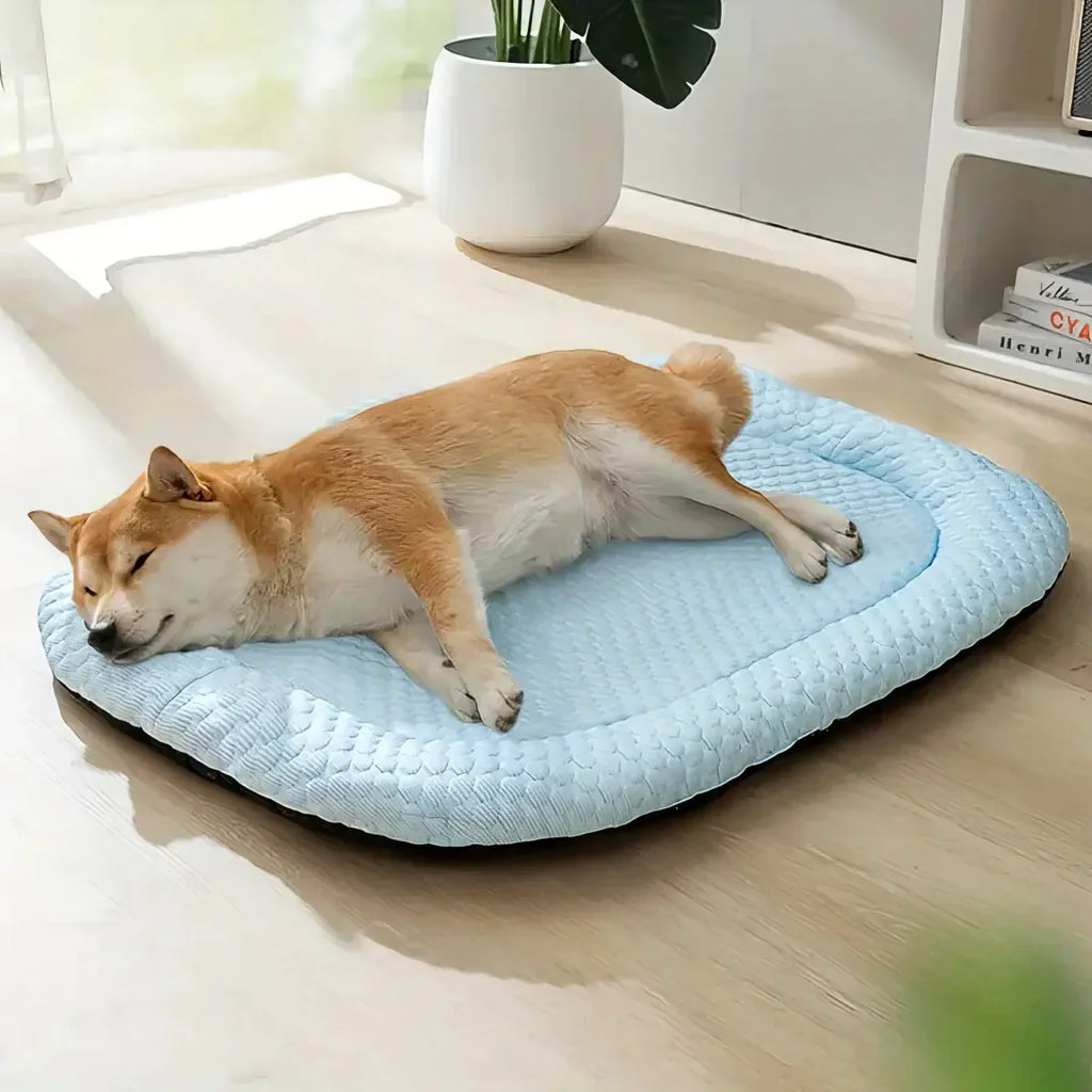 ChillPaws • Cooling Dog Bed - Cooling Dog Bed