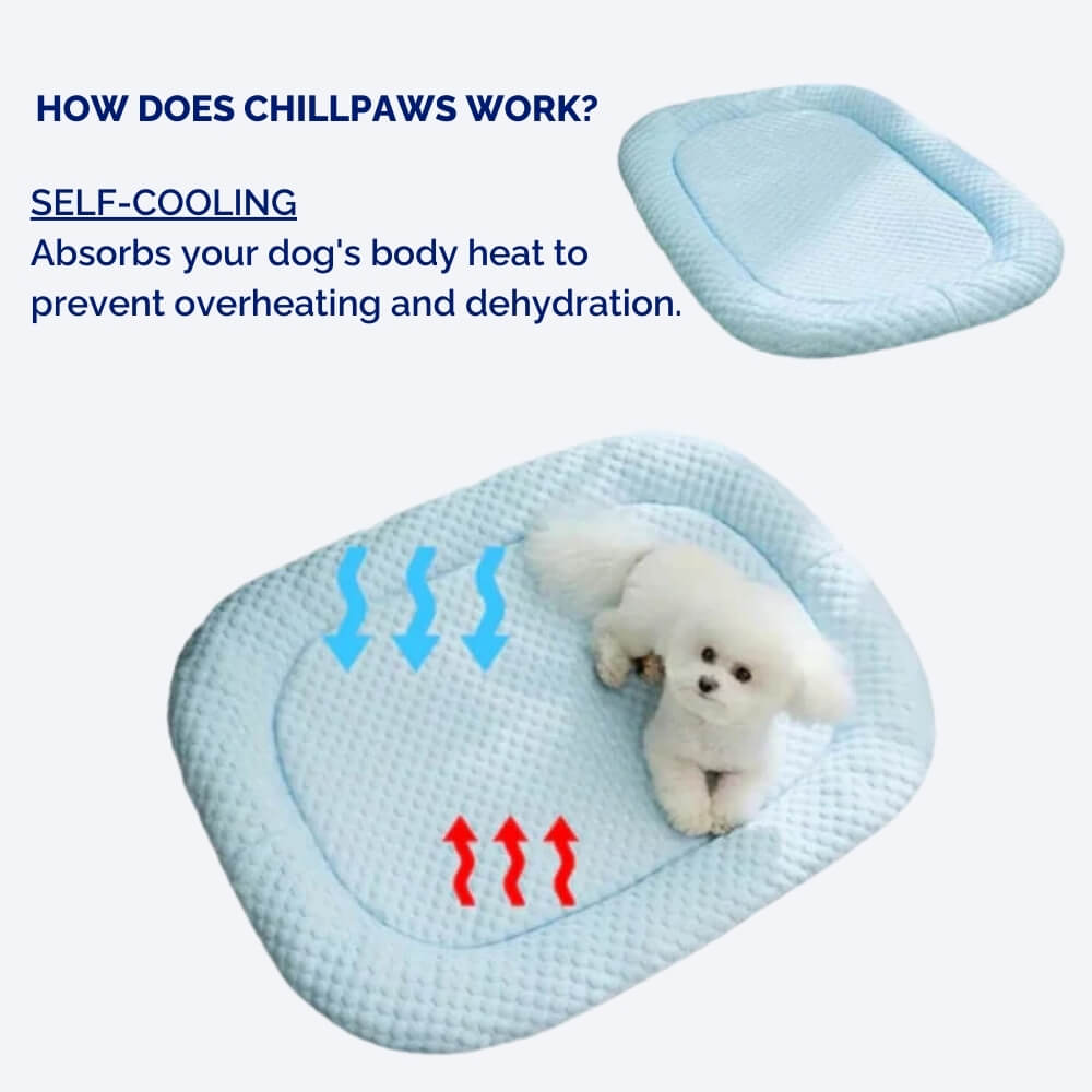 ChillPaws • Cooling Dog Bed - Cooling Dog Bed