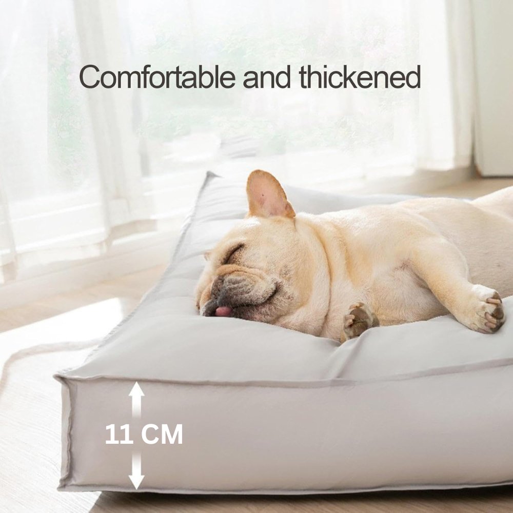 Cuccia impermeabile CozyGuard per cani, per comfort interno e durata quotidiana