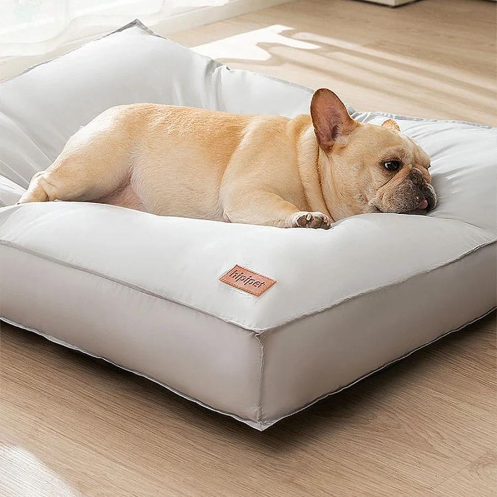 Cuccia impermeabile CozyGuard per cani, per comfort interno e durata quotidiana