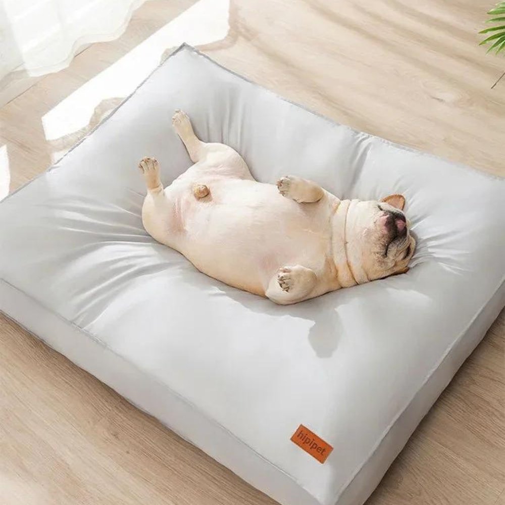 Cuccia impermeabile CozyGuard per cani, per comfort interno e durata quotidiana