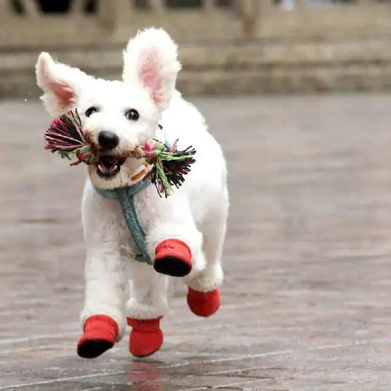CozyPaws • Dog Waterproof Boots - Dog Waterproof Boots