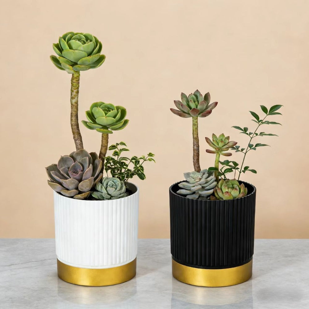 Nordipot Patterned Planter for Sophisticated Indoor Plant Displays