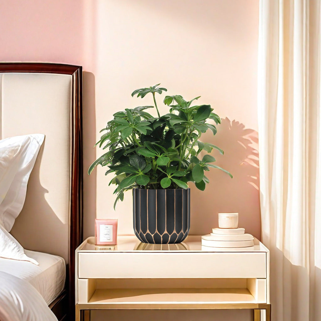Nordicore Pot Modern Minimalist Planter for Home Decor