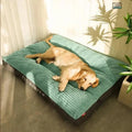CosyPaw Plüsch-Orthopädisches Hundebett mit gemütlicher Unterstützung und Komfort