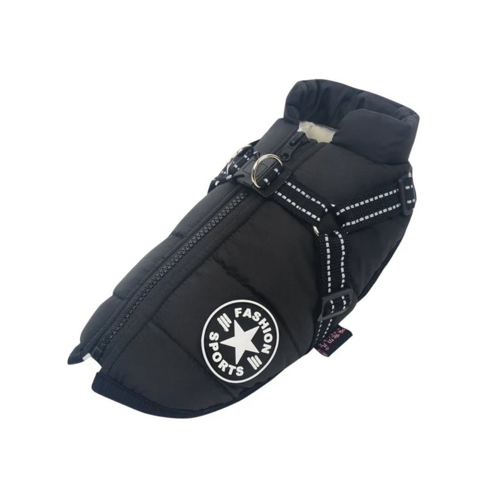 DryPaw Waterproof Coat For Dogs In Rainy And Cold Weather