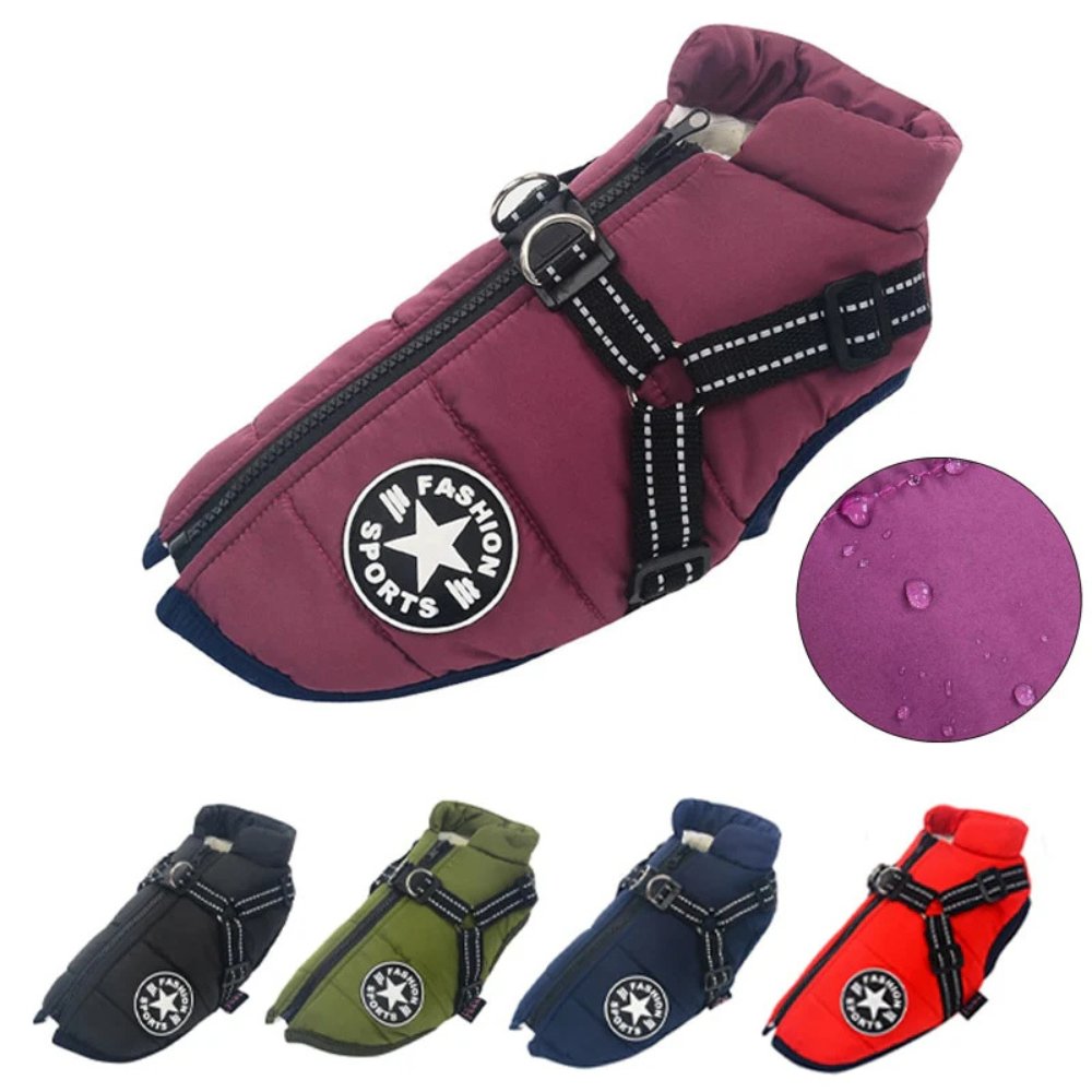 DryPaw Waterproof Coat For Dogs In Rainy And Cold Weather