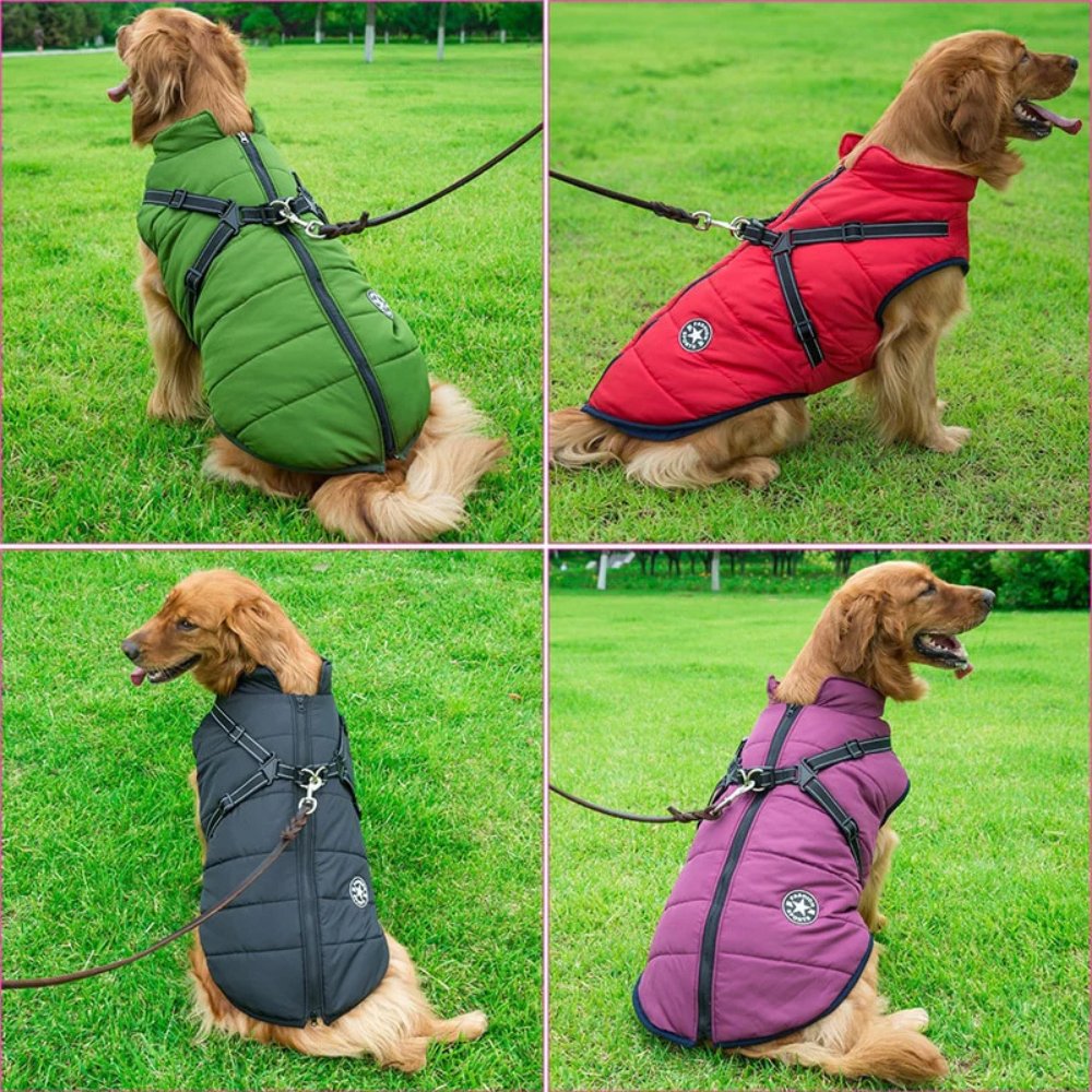 DryPaw Waterproof Coat For Dogs In Rainy And Cold Weather