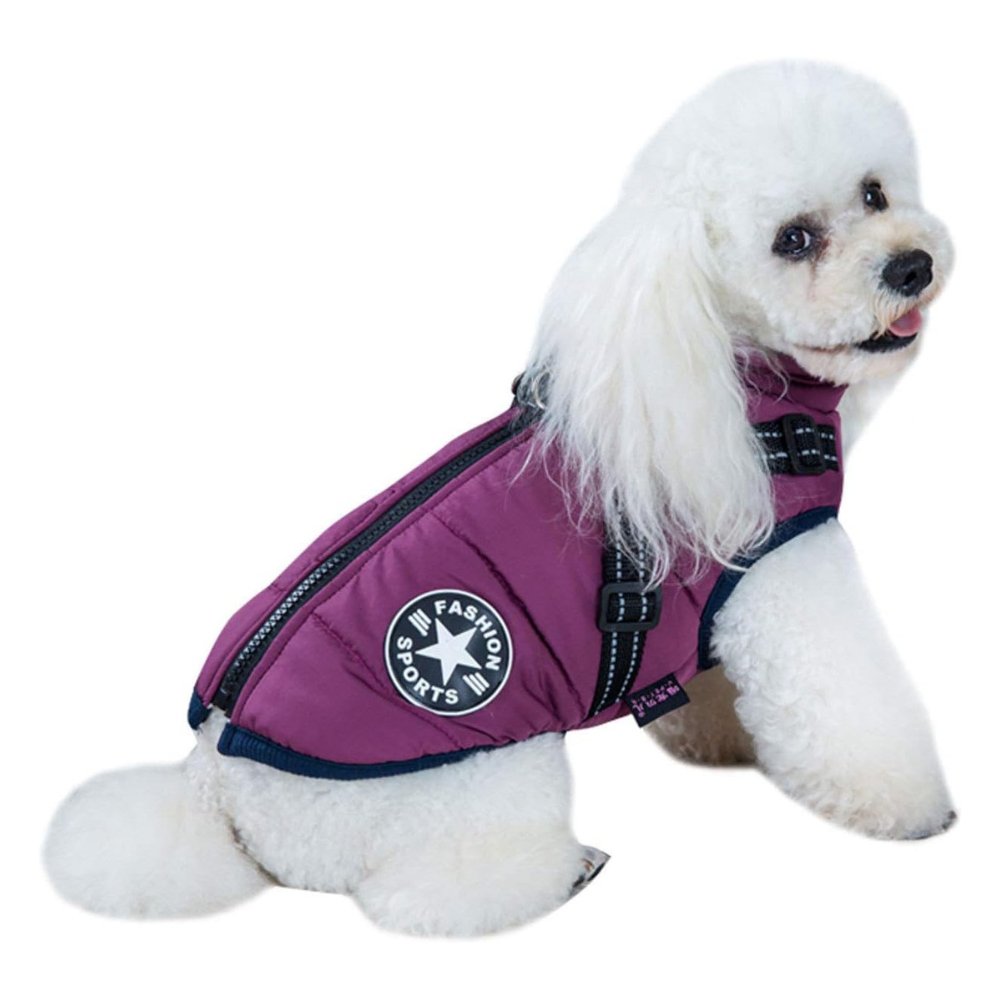 DryPaw Waterproof Coat For Dogs In Rainy And Cold Weather