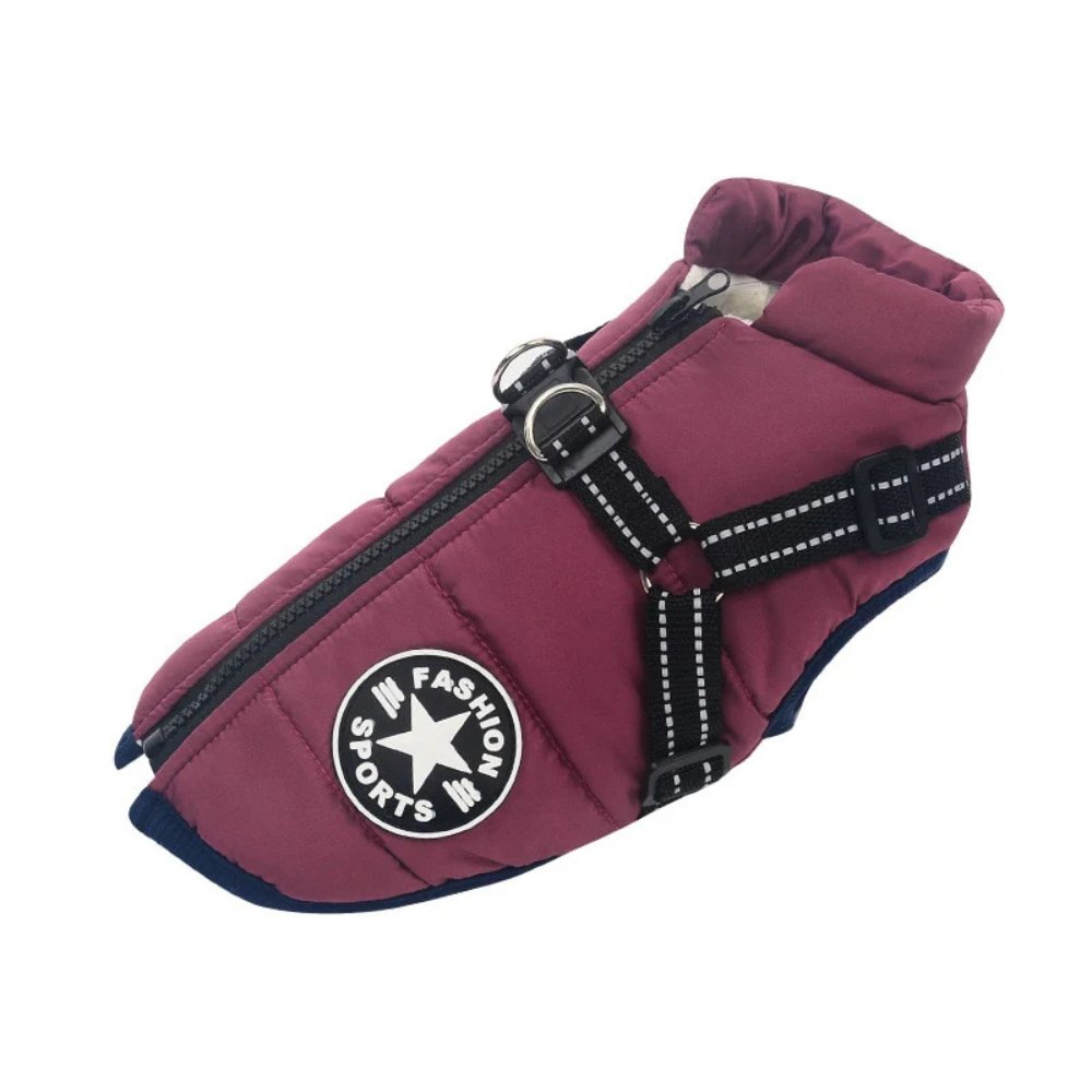 DryPaw Waterproof Coat For Dogs In Rainy And Cold Weather