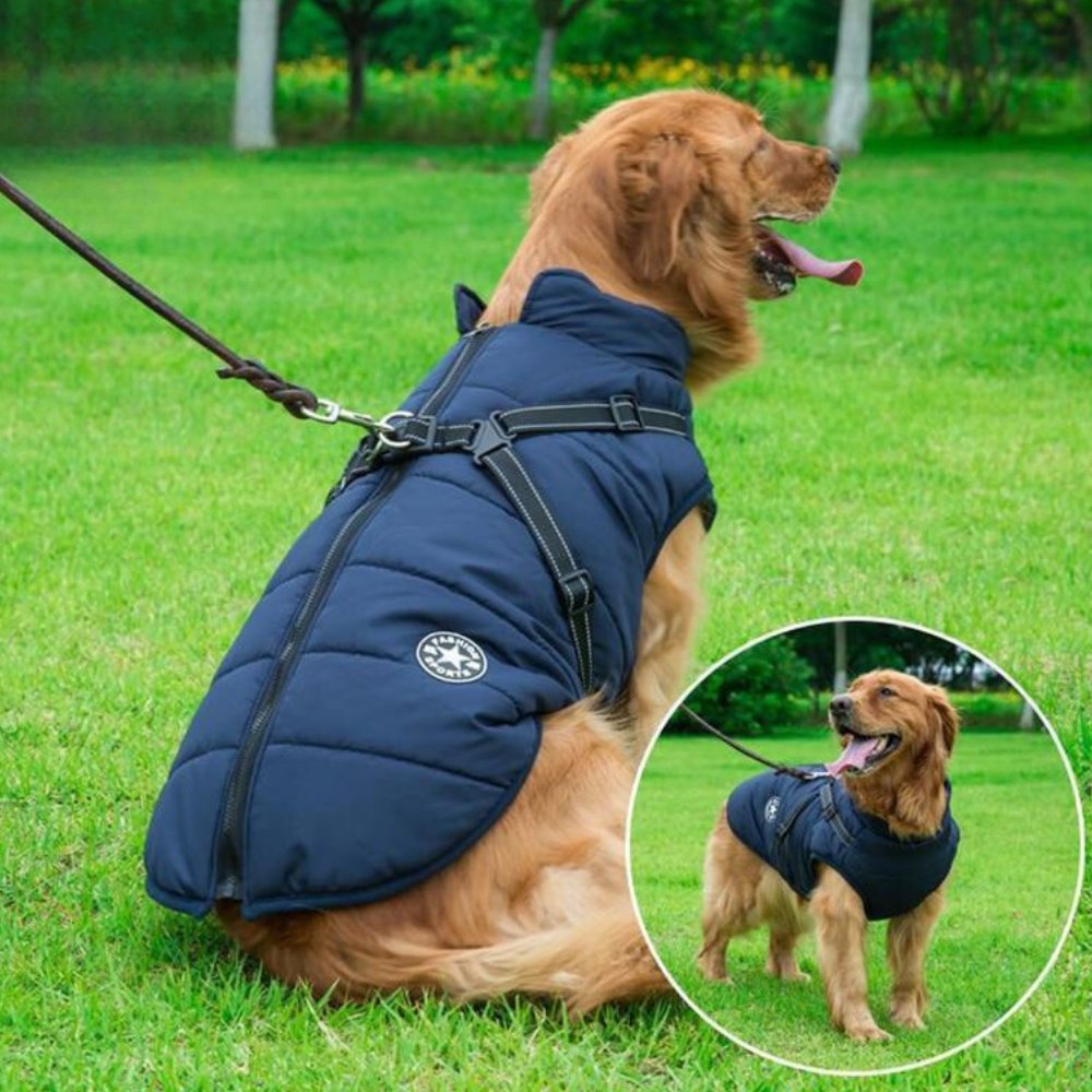 DryPaw Waterproof Coat For Dogs In Rainy And Cold Weather