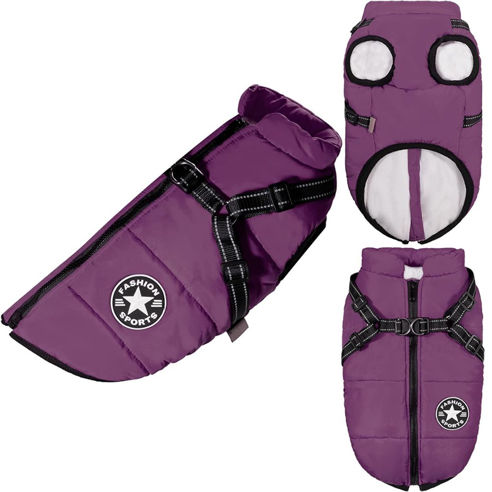DryPaw Waterproof Coat For Dogs In Rainy And Cold Weather