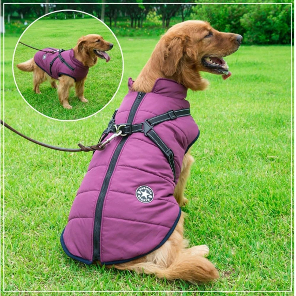 DryPaw Waterproof Coat For Dogs In Rainy And Cold Weather