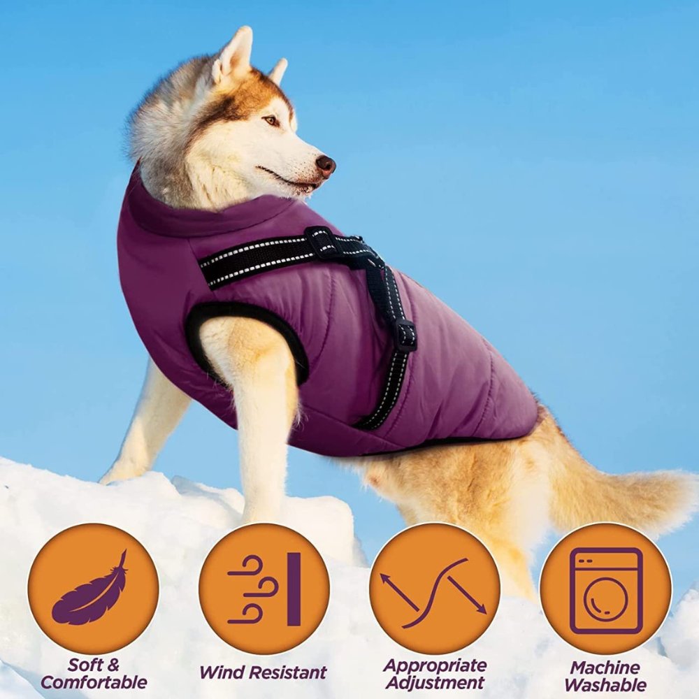 DryPaw Waterproof Coat For Dogs In Rainy And Cold Weather