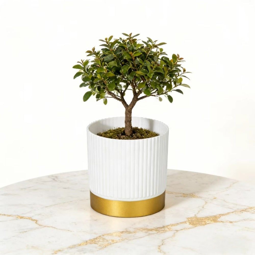 Nordipot Patterned Planter for Sophisticated Indoor Plant Displays