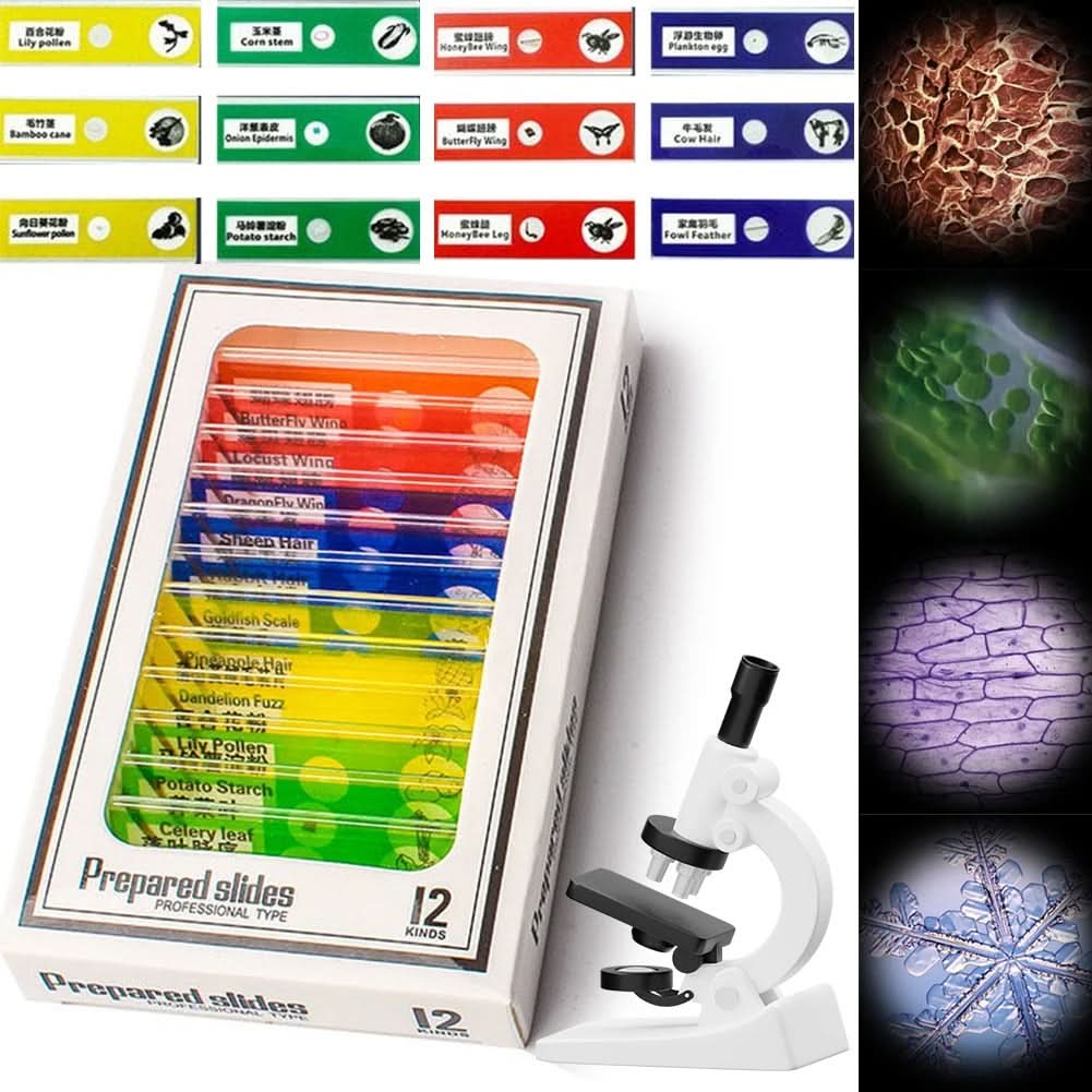 Microscope portable QuestScope Kids, grossissement 60x-120x, découverte