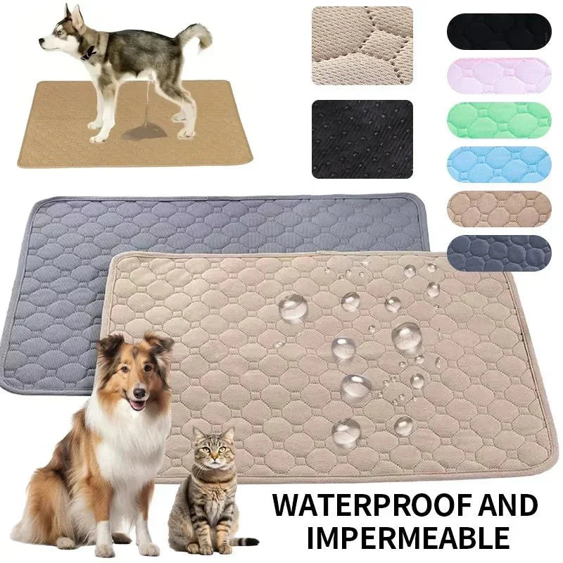 EcoComfort genanvendelige tissemåtter til hunde, vaskbare og holdbare