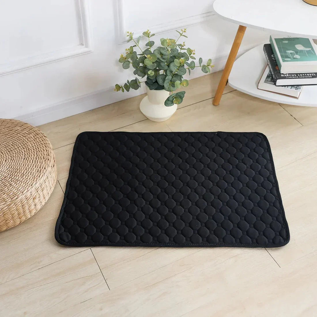 EcoComfort genanvendelige tissemåtter til hunde, vaskbare og holdbare