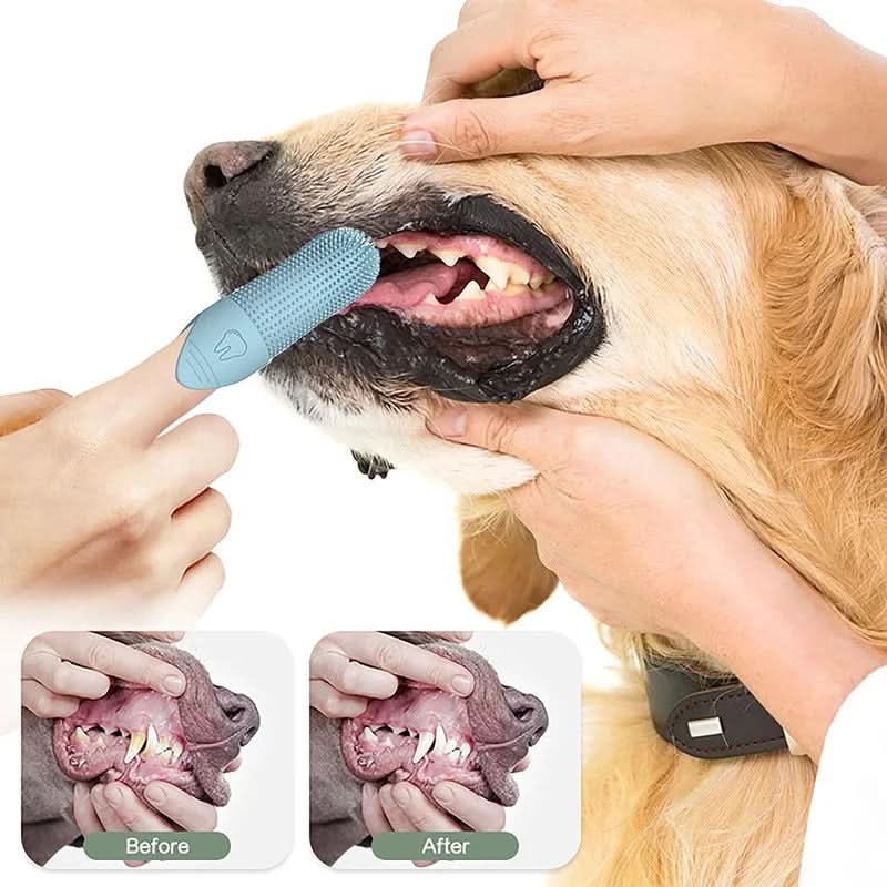 PawBright 360 Degree Finger Toothbrush For Dogs And Cats Gentle Pet Oral Care