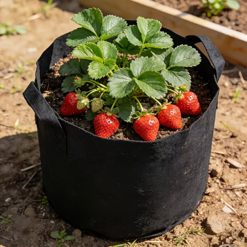 Rootbag Breathable Grow Bag For Stronger Roots And Healthier Plants