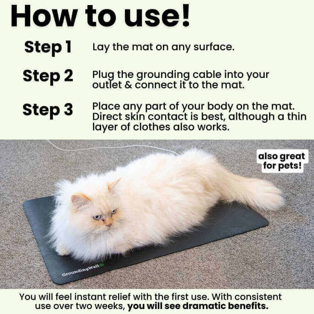 EarthPulse Grounding Mat Recharges Your Natural Energy On The Go