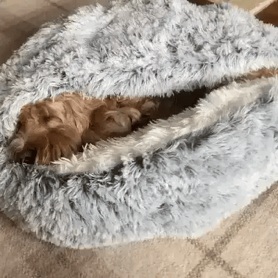 Cuccia Accogliente a Forma di Grotta per Cani, per Comfort Calmante e Profondo Rilassamento Quotidiano