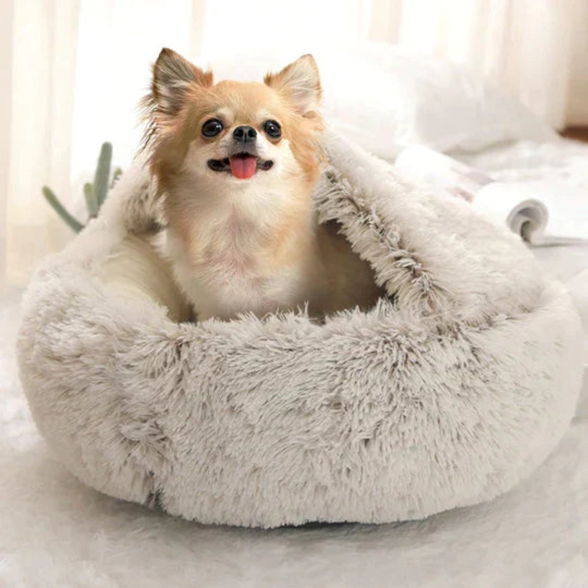 Cuccia Accogliente a Forma di Grotta per Cani, per Comfort Calmante e Profondo Rilassamento Quotidiano