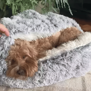 Cuccia Accogliente a Forma di Grotta per Cani, per Comfort Calmante e Profondo Rilassamento Quotidiano
