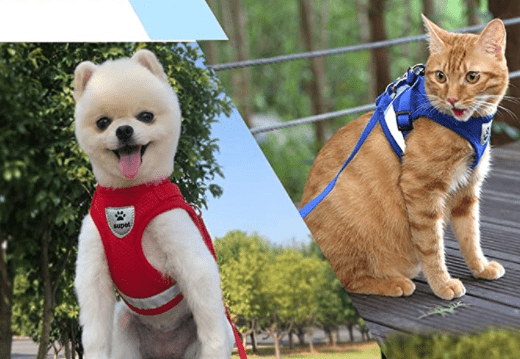 TrailTide Escape-Proof Cat Harness With Reflective Details