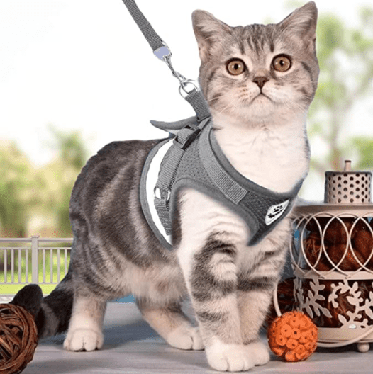 TrailTide Escape-Proof Cat Harness With Reflective Details