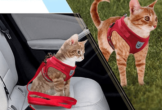 TrailTide Escape-Proof Cat Harness With Reflective Details