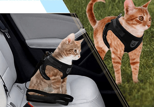TrailTide Escape-Proof Cat Harness With Reflective Details