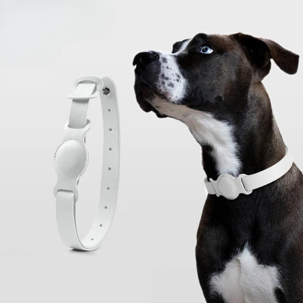 LuxeLeather AirTag Collar For Pets And Canines Classic Leather