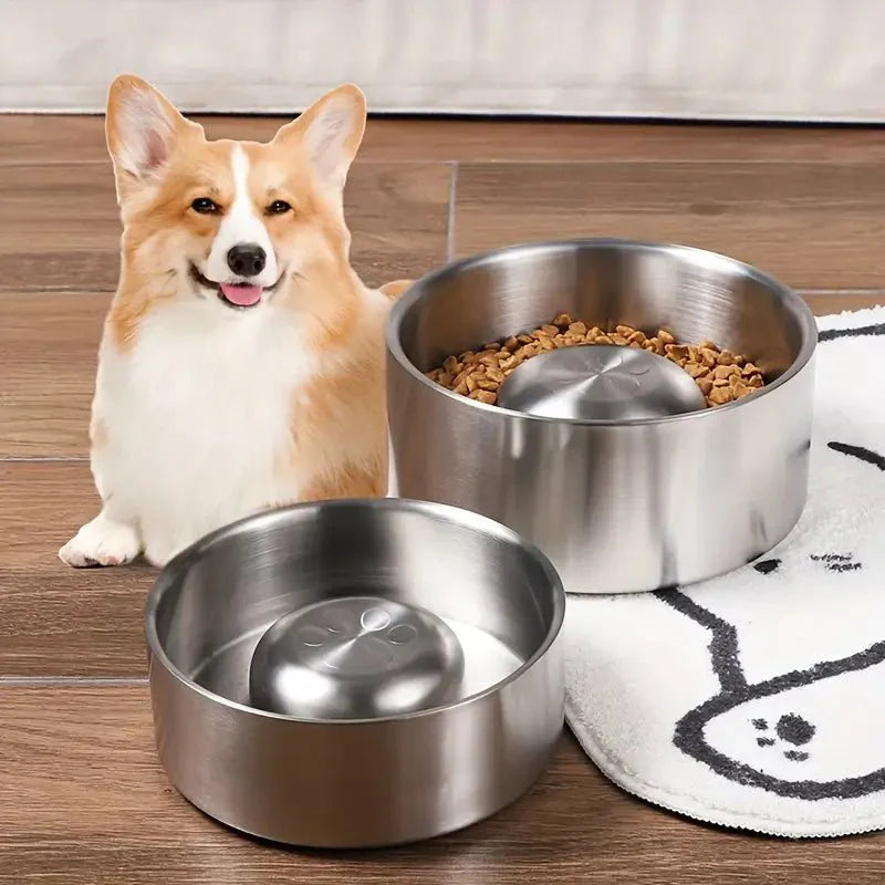 Ciotola MealPace con design a lento rilascio per tutti i cani