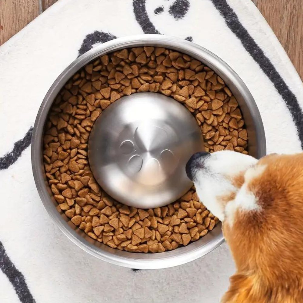 Ciotola MealPace con design a lento rilascio per tutti i cani