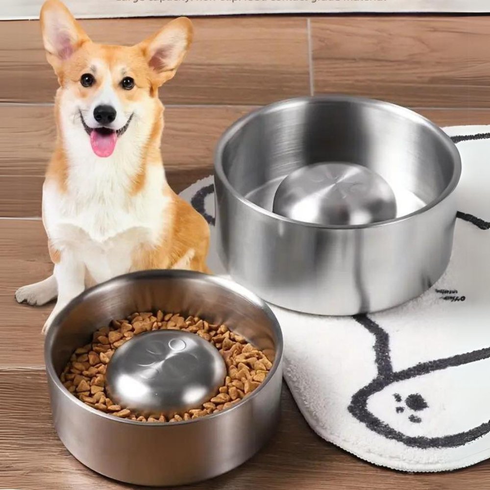 Ciotola MealPace con design a lento rilascio per tutti i cani