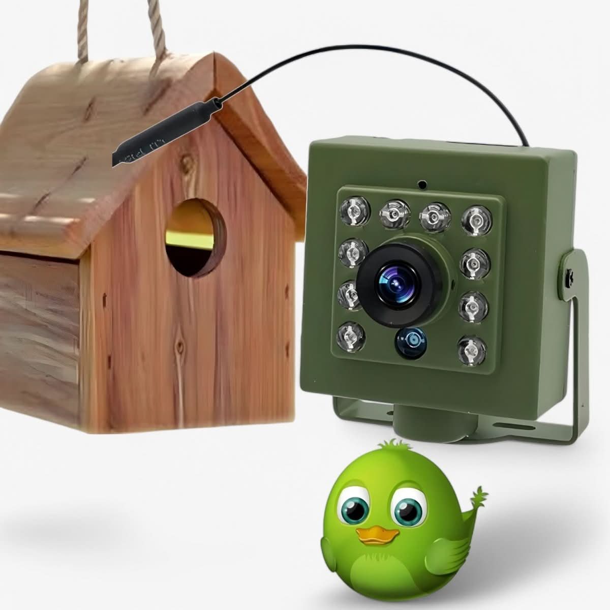 OrniNest Wireless Nest Camera For Birds With 1080p Night Vision And Motion Detection