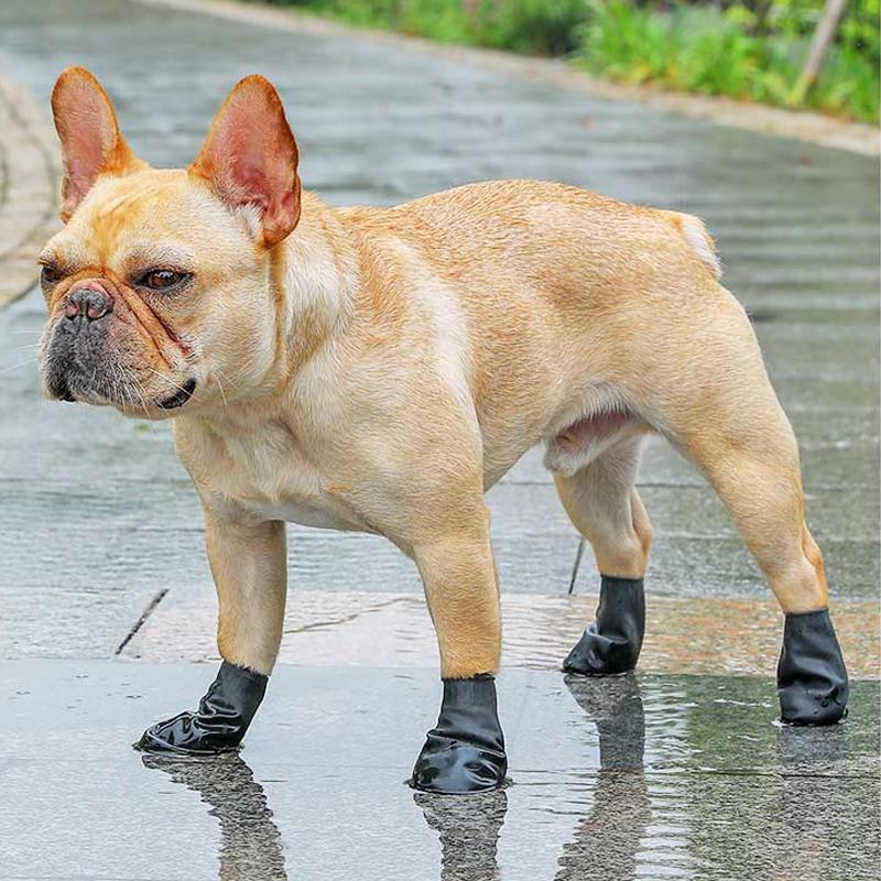 PootShield wasserdichte Hundeschuhe mit Grip für täglichen Komfort