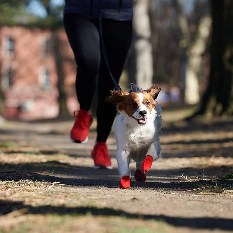 PootShield wasserdichte Hundeschuhe mit Grip für täglichen Komfort