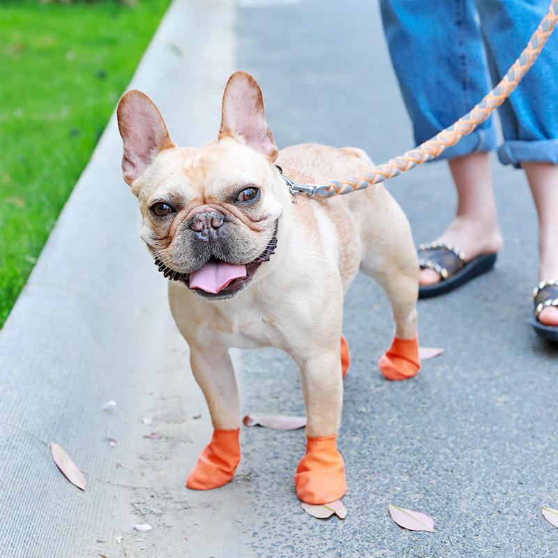 PootShield wasserdichte Hundeschuhe mit Grip für täglichen Komfort